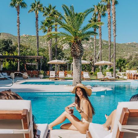 קאלבי Hotel Corsica & Spa מראה חיצוני תמונה